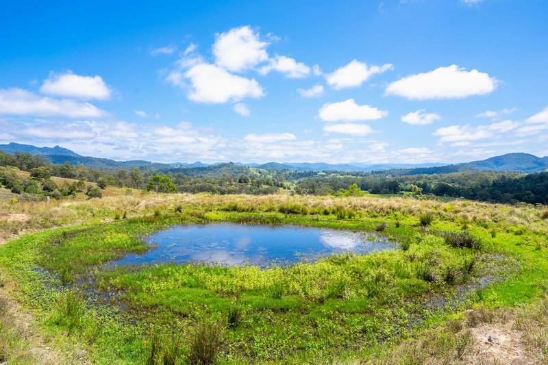 Photo - 1 Bimbadeen Road, Wherrol Flat NSW 2429 - Image 9