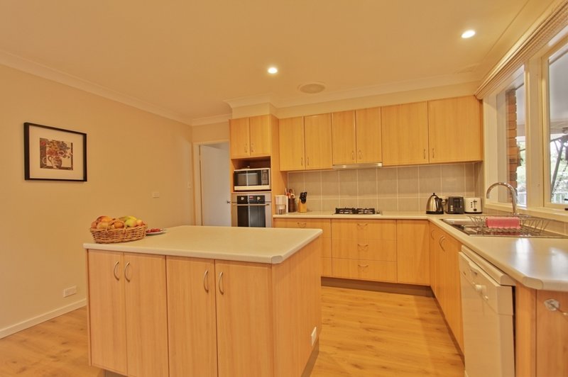 Photo - 1 Boronia Road, Wentworth Falls NSW 2782 - Image 3