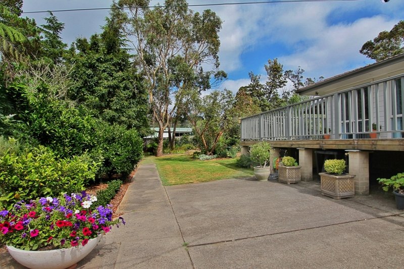 Photo - 1 Boronia Road, Wentworth Falls NSW 2782 - Image 4