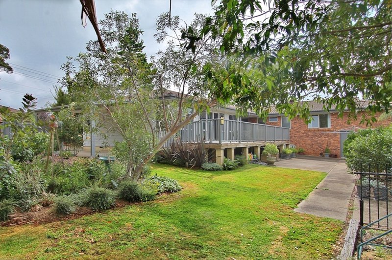 Photo - 1 Boronia Road, Wentworth Falls NSW 2782 - Image 12