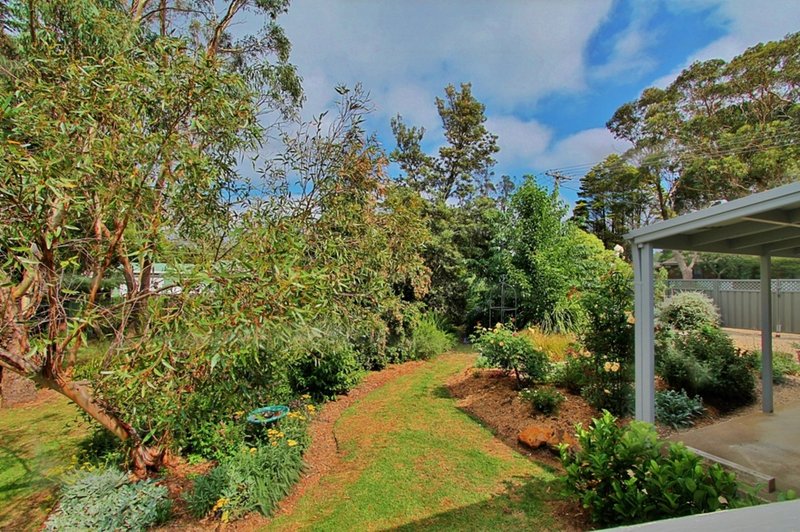 Photo - 1 Boronia Road, Wentworth Falls NSW 2782 - Image 13