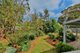 Photo - 1 Boronia Road, Wentworth Falls NSW 2782 - Image 13