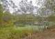 Photo - 1 Brenda Court, Torbanlea QLD 4662 - Image 3