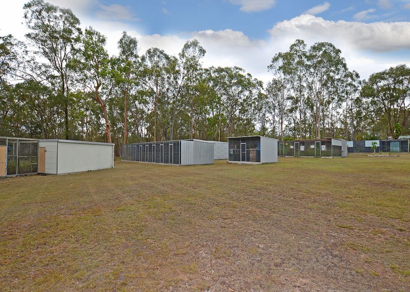 Photo - 1 Brenda Court, Torbanlea QLD 4662 - Image 4