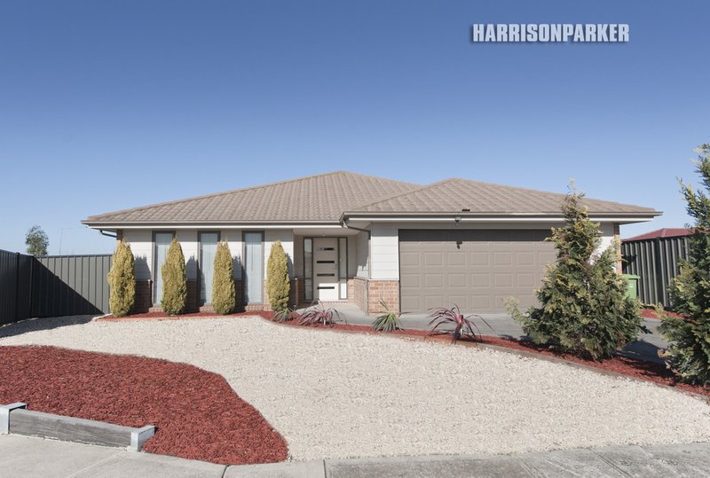 Photo - 1 Candlebark Drive, Greenvale VIC 3059 - Image