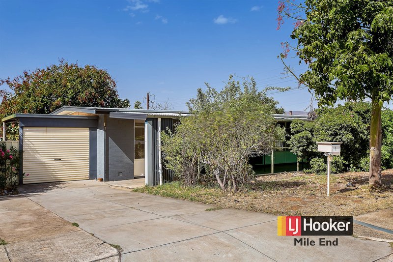 Photo - 1 Canna Avenue, Modbury SA 5092 - Image 2