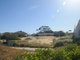 Photo - 1 Chalgrove Road, Madora Bay WA 6210 - Image 2