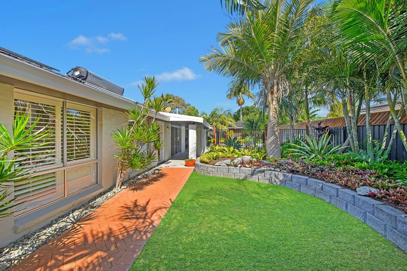 Photo - 1 Chelsea Place, Port Macquarie NSW 2444 - Image 8