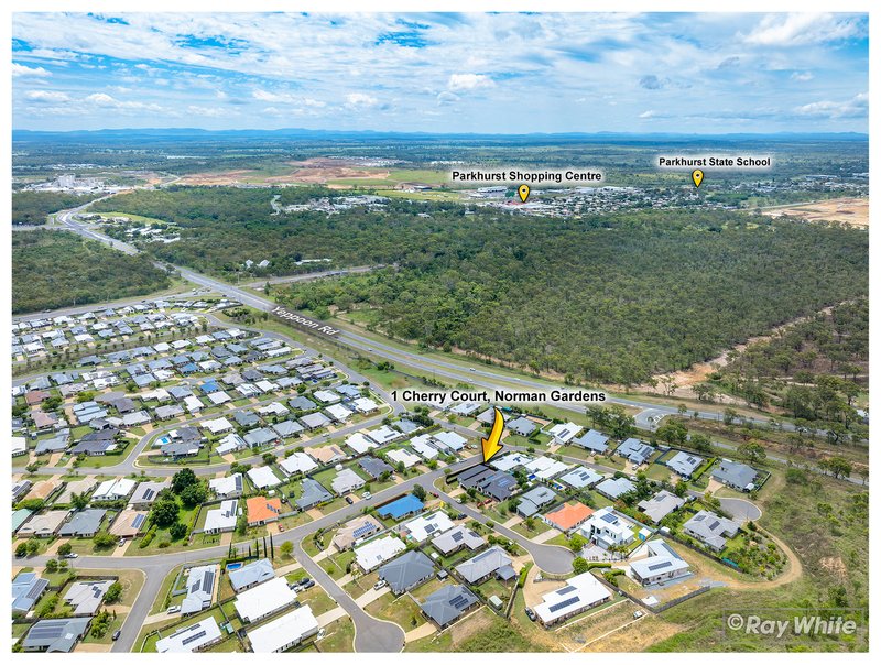 Photo - 1 Cherry Court, Norman Gardens QLD 4701 - Image 31