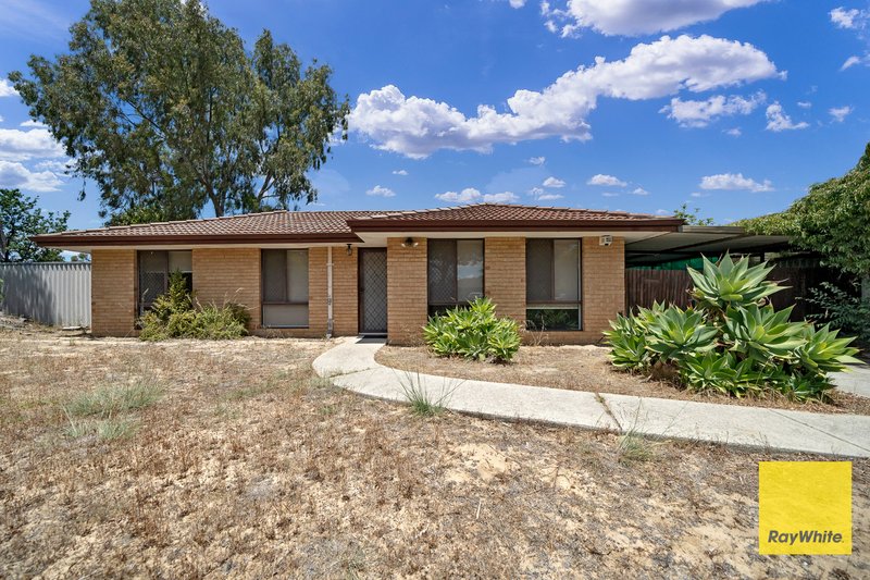 1 Chestnut Grove, Mirrabooka WA 6061