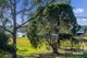 Photo - 1 Church Street, Moruya NSW 2537 - Image 14