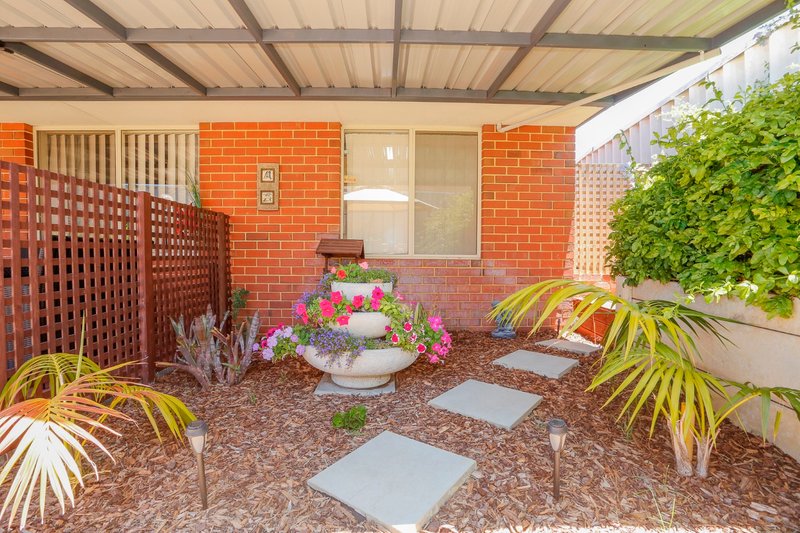 Photo - 1 Cleland Close, Clarkson WA 6030 - Image 21