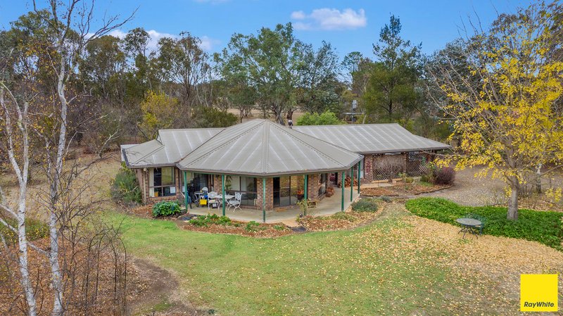 Photo - 1 Coluche Road, Armidale NSW 2350 - Image 4