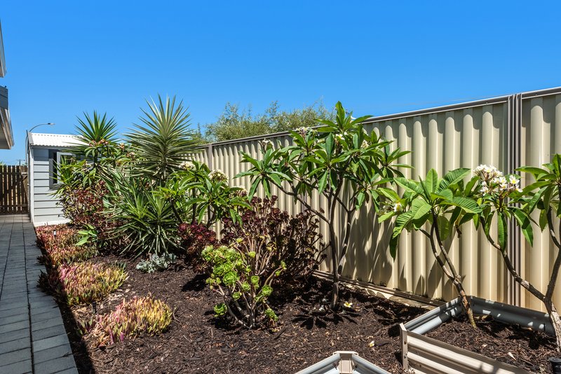 Photo - 1 Comet Street, Singleton WA 6175 - Image 16