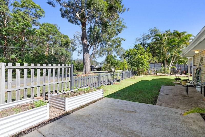 Photo - 1 Corella Court, Tewantin QLD 4565 - Image 13