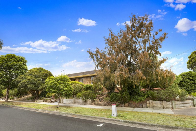 Photo - 1 Cottonwood Avenue, Vermont South VIC 3133 - Image 11