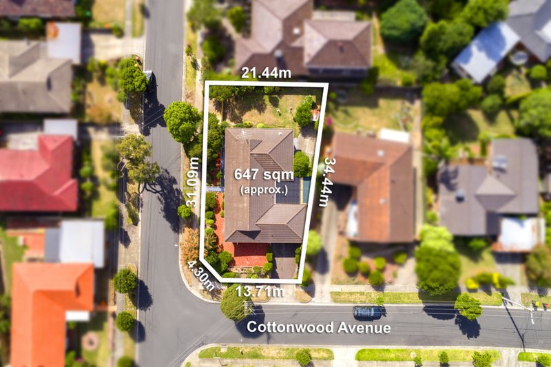 Photo - 1 Cottonwood Avenue, Vermont South VIC 3133 - Image 12