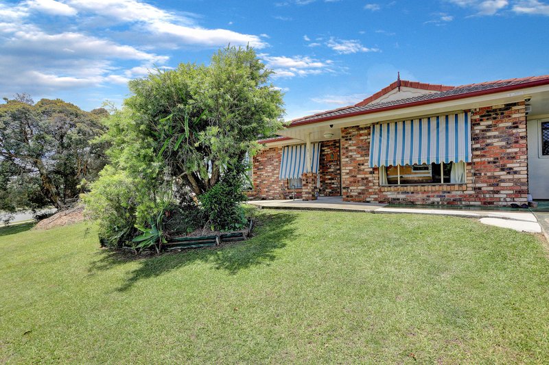 Photo - 1 Daintree Street, Bellmere QLD 4510 - Image 1
