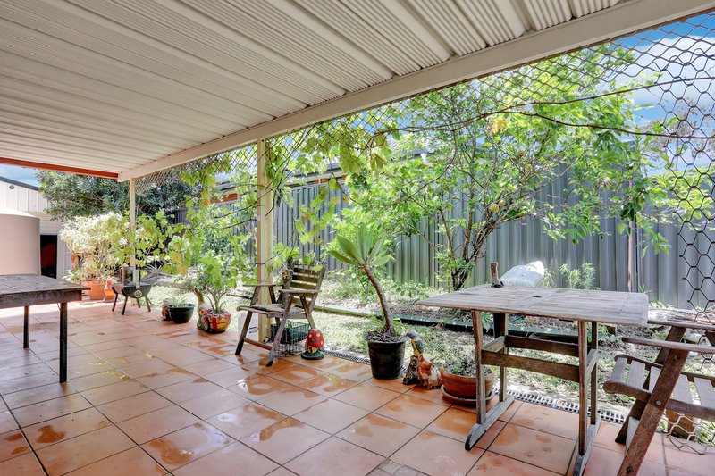 Photo - 1 Daintree Street, Bellmere QLD 4510 - Image 6