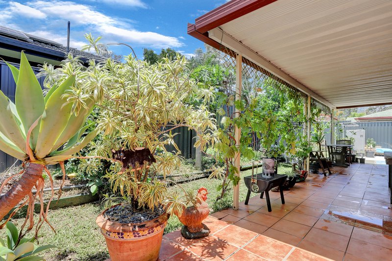Photo - 1 Daintree Street, Bellmere QLD 4510 - Image 10