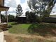 Photo - 1 David Street, Tamworth NSW 2340 - Image 13