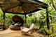 Photo - 1 Emmitt Court, Apple Tree Creek QLD 4660 - Image 11
