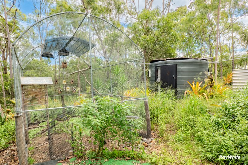 Photo - 1 Emmitt Court, Apple Tree Creek QLD 4660 - Image 30