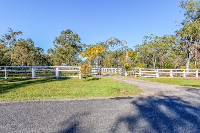 Photo - 1 Erwin Road, Carbrook QLD 4130 - Image 5