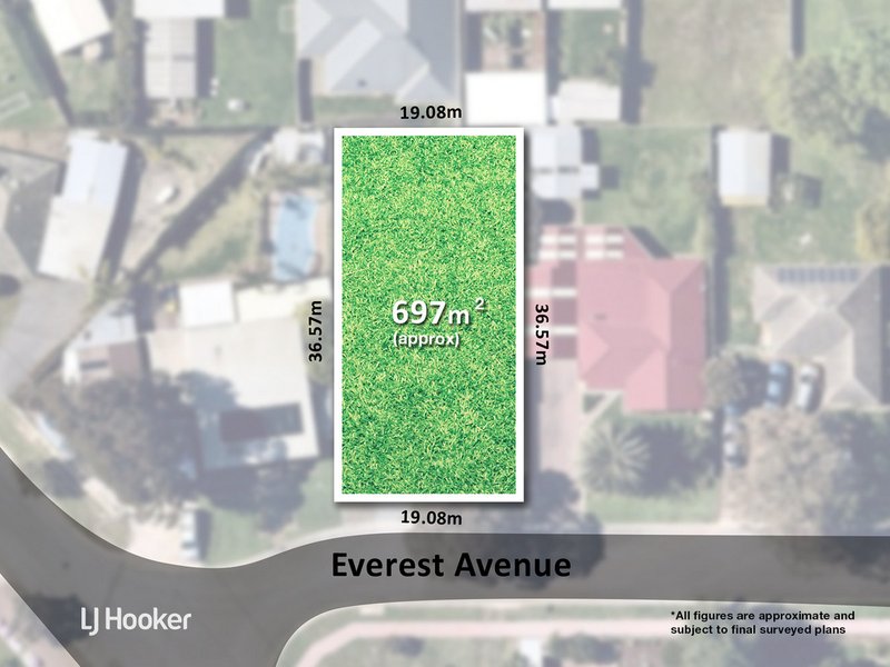 Photo - 1 Everest Avenue, Athelstone SA 5076 - Image 3