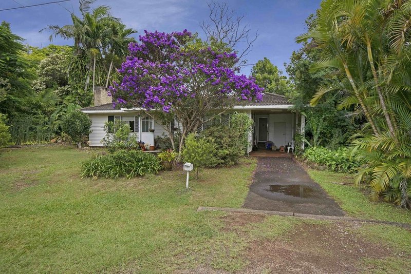 Photo - 1 Feeley Street, Buderim QLD 4556 - Image 5