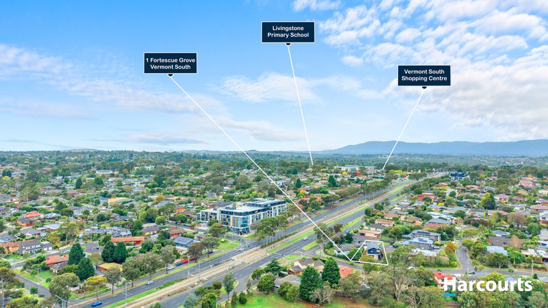 Photo - 1 Fortescue Grove, Vermont South VIC 3133 - Image 20