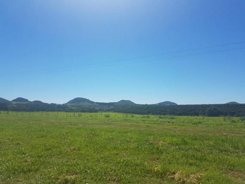 Photo - 1 Gillies Range Road Atherton , Atherton QLD 4883 - Image 4