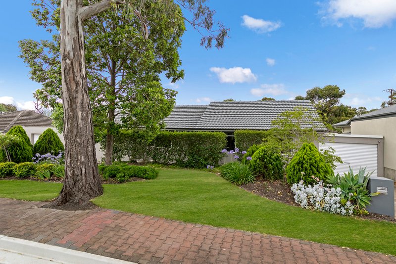 1 Glenside Street, Surrey Downs SA 5126