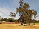 Photo - 1 Gould Street, Narrabri NSW 2390 - Image 2