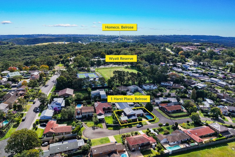 Photo - 1 Harst Place, Belrose NSW 2085 - Image 26