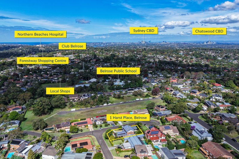 Photo - 1 Harst Place, Belrose NSW 2085 - Image 27