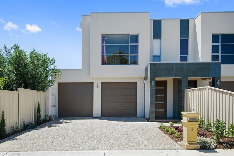 1 Hawkins Avenue, Flinders Park SA 5025