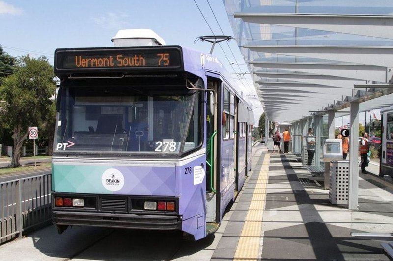 Photo - 1 Head Court, Vermont South VIC 3133 - Image 22