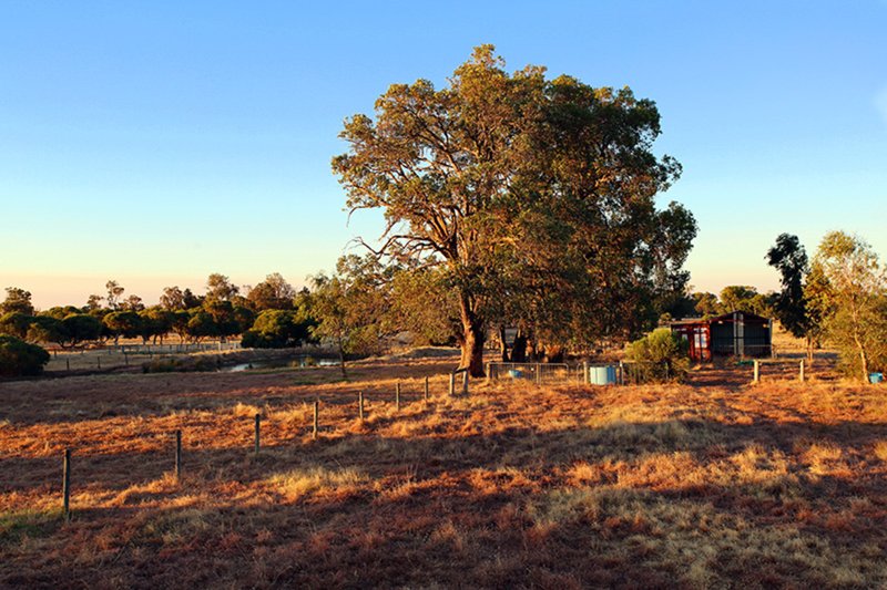 Photo - 1 Hollyford Place, Dardanup WA 6236 - Image 23