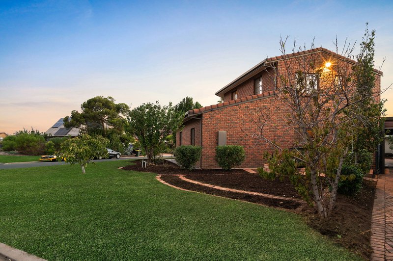 Photo - 1 Honolulu Grove, West Lakes SA 5021 - Image 20