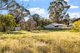 Photo - 1 Hovea Street, Myalup WA 6220 - Image 6