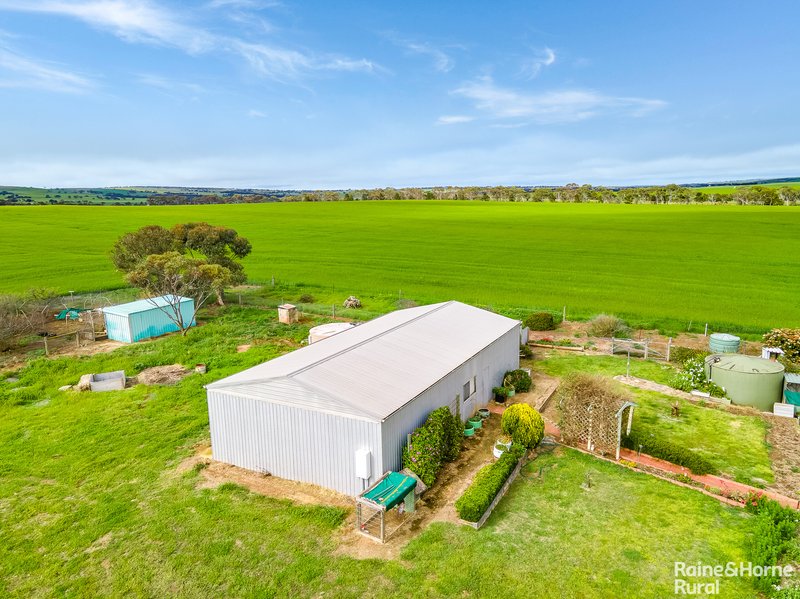 Photo - 1 Jaensch Road, Callington SA 5254 - Image 17