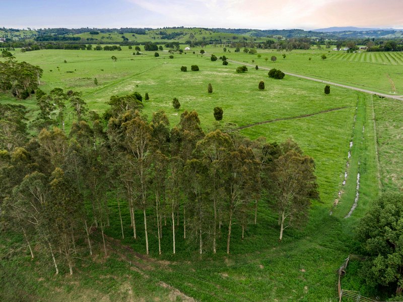 1 Lagoon Grass Road, Lagoon Grass NSW 2480 Real Estate Industry Partners