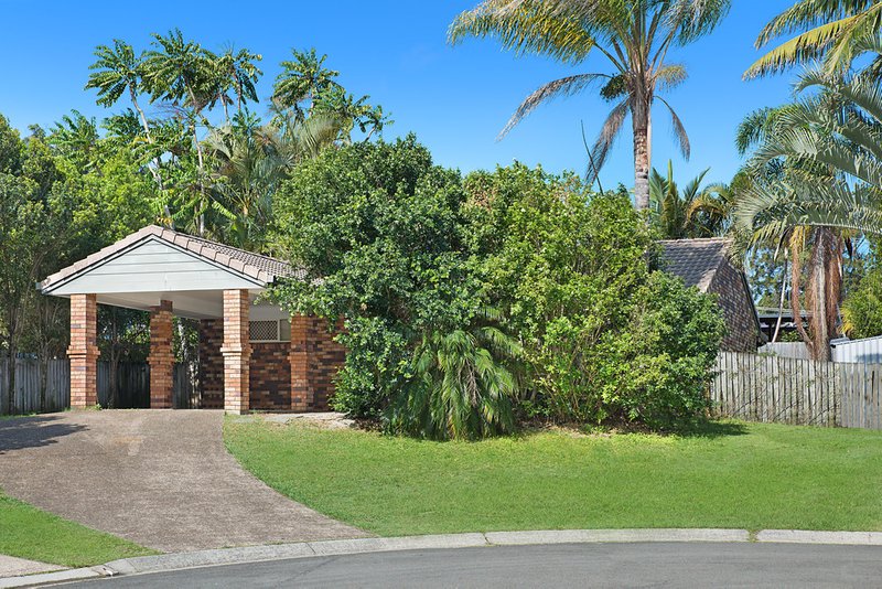 Photo - 1 Lee Street, Buderim QLD 4556 - Image 6