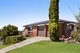 Photo - 1 Logan Close, Macquarie Hills NSW 2285 - Image 1