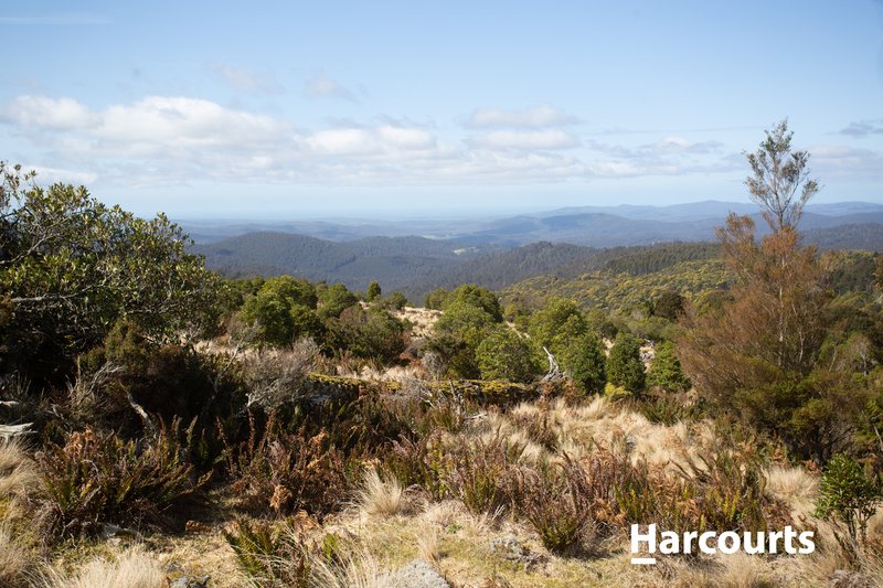 Photo - 1 Lottah Road, Weldborough TAS 7264 - Image 24