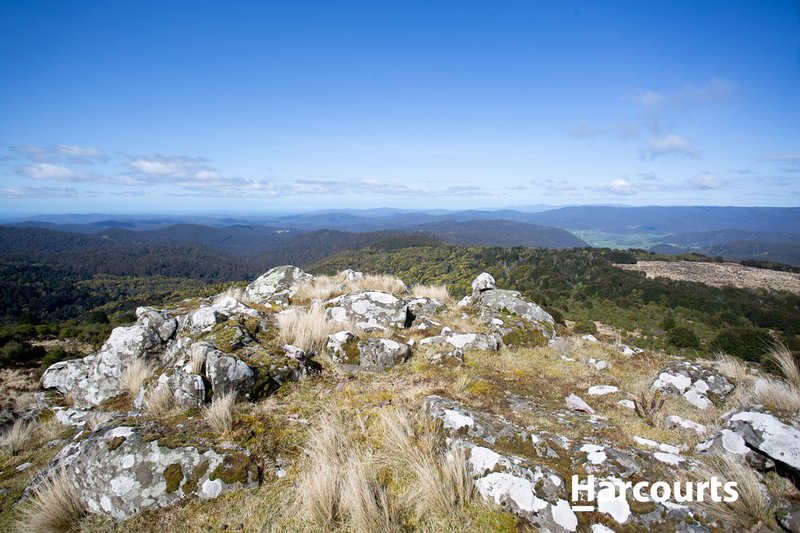 Photo - 1 Lottah Road, Weldborough TAS 7264 - Image 25