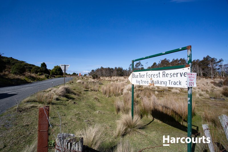 Photo - 1 Lottah Road, Weldborough TAS 7264 - Image 32