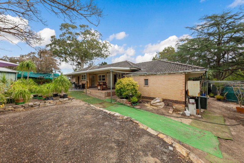 Photo - 1 Magnolia Court, Banksia Park SA 5091 - Image 23