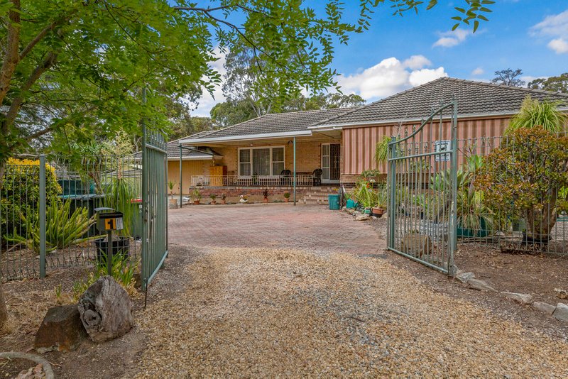 Photo - 1 Magnolia Court, Banksia Park SA 5091 - Image 25